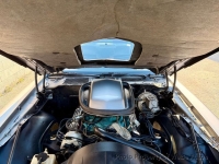 1979 Pontiac Trans Am for sale in Naples, Florida (ID-161314)