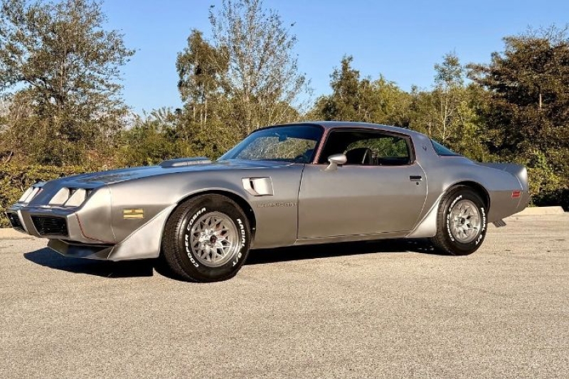 1979 Pontiac Trans Am for sale in Michigan (ID-161494)