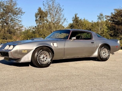 1979 Pontiac Trans Am for sale in Michigan