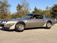 1979 Pontiac Trans Am for sale in Michigan (ID-161494)