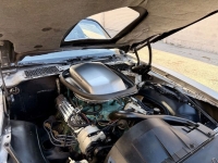 1979 Pontiac Trans Am for sale in Michigan (ID-161494)