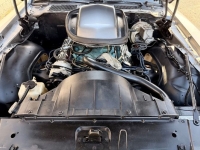 1979 Pontiac Trans Am for sale in Michigan (ID-161494)