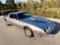 1979 Pontiac Trans Am for sale in Michigan (ID-161494)