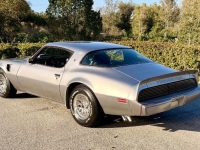 1979 Pontiac Trans Am for sale in Michigan (ID-161494)