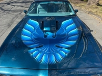 1979 Pontiac Trans Am for sale in Riverhead, New York (ID-162185)