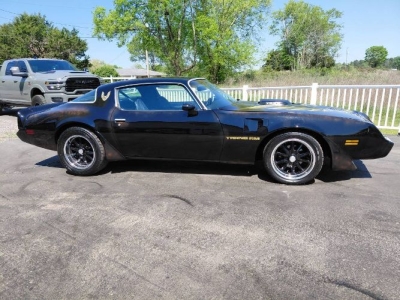 1979 Pontiac Trans Am for sale