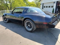 1979 Pontiac Trans Am for sale in Michigan (ID-162589)