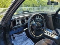 1979 Pontiac Trans Am for sale in Michigan (ID-162589)
