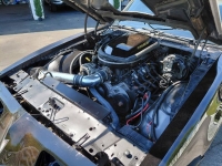 1979 Pontiac Trans Am for sale in Michigan (ID-162589)