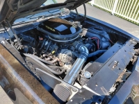 1979 Pontiac Trans Am for sale in Michigan (ID-162589)