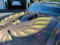 1979 Pontiac Trans Am for sale in Michigan (ID-162589)