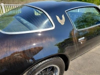 1979 Pontiac Trans Am for sale in Michigan (ID-162589)