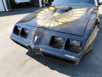 1979 Pontiac Trans Am for sale in Michigan (ID-162589)