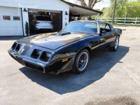 1979 Pontiac Trans Am for sale in Michigan (ID-162589)