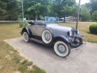 1979 Shay Model A for sale (ID-117676)