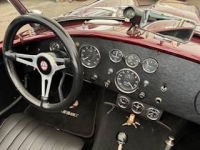 1979 Shelby Cobra for sale in Michigan (ID-145549)