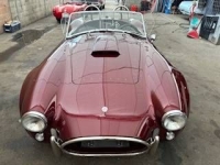 1979 Shelby Cobra for sale in Michigan (ID-145549)