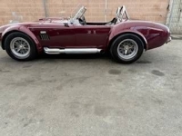 1979 Shelby Cobra for sale in Michigan (ID-145549)
