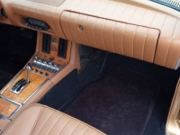 1979 Studebaker Avanti for sale in Michigan (ID-162352)