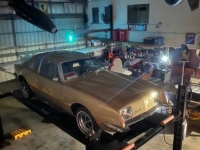 1979 Studebaker Avanti for sale in Michigan (ID-162352)