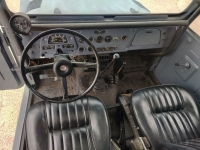 1979 Toyota FJ40 for sale in Michigan (ID-113125)
