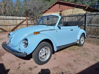 1979 Volkswagen Beetle for sale