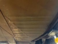 1979 Volkswagen Beetle for sale in Michigan (ID-129899)