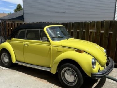 1979 Volkswagen Beetle for sale