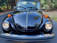 1979 Volkswagen Beetle for sale in Riverhead, New York (ID-140605)