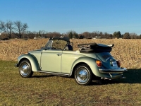 1979 Volkswagen Beetle for sale in Riverhead, New York (ID-153097)