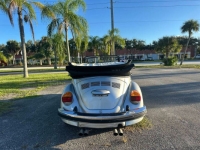1979 Volkswagen Beetle for sale in Michigan (ID-155463)