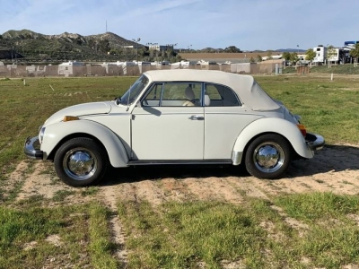 1979 Volkswagen Super Beetle for sale