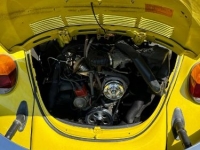 1979 Volkswagen Super Beetle for sale in Michigan (ID-126738)