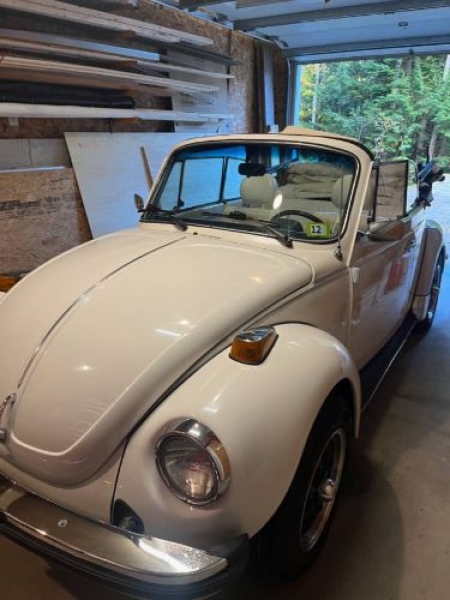 1979 Volkswagen Super Beetle for sale in Michigan (ID-134578)