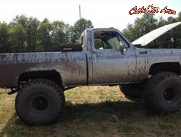 1980 Chevrolet K10 for sale in Michigan (ID-4289) 1980 Chevrolet K10 for sale in Michigan (ID-4289)