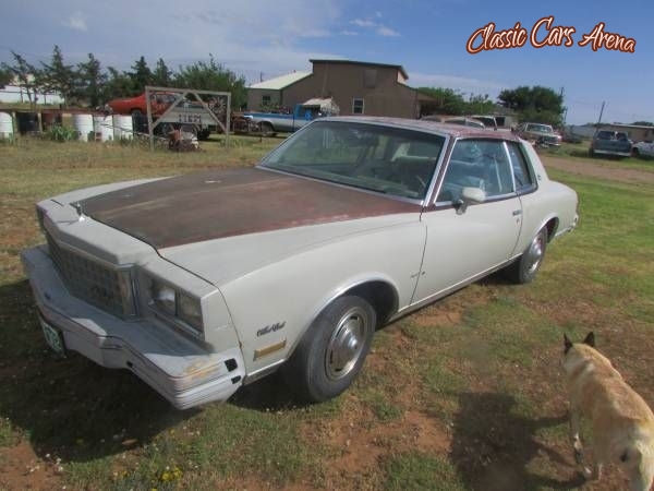 1980 Chevrolet Monte Carlo for sale in Michigan (ID-23534)