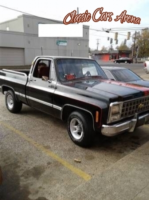 1980 Chevrolet Pickup for sale in Michigan (ID-31559)