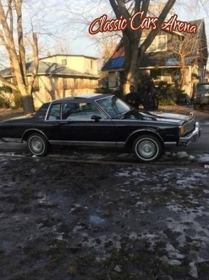 1980 Chevrolet Caprice for sale in Michigan (ID-52719) 1980 Chevrolet Caprice for sale in Michigan (ID-52719)
