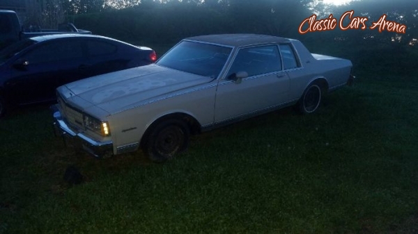 1980 Chevrolet Caprice for sale in Michigan (ID-55355) 1980 Chevrolet Caprice for sale in Michigan (ID-55355)