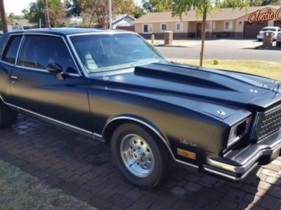 1980 Chevrolet Monte Carlo for sale