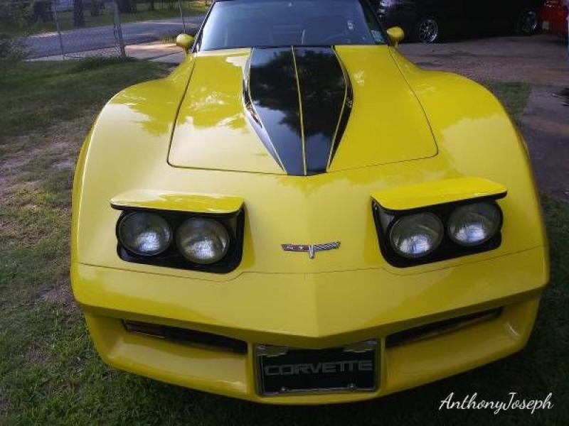 1980 Chevrolet Corvette for sale in Louisiana (ID-80778)