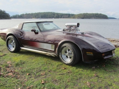 1980 Chevrolet Corvette for sale 1980 Chevrolet Corvette for sale