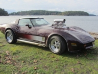 1980 Chevrolet Corvette for sale in Michigan (ID-87877)