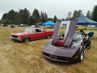 1980 Chevrolet Corvette for sale in Michigan (ID-87877)