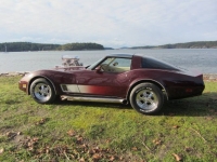 1980 Chevrolet Corvette for sale in Michigan (ID-87877)