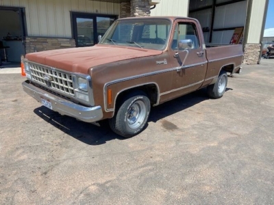 1980 Chevrolet Pickup for sale