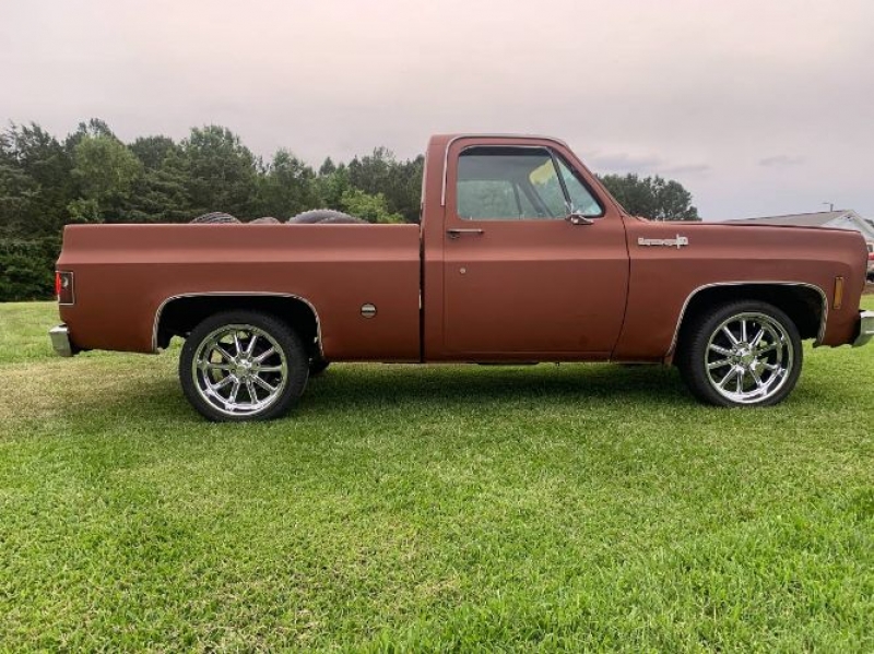 1980 Chevrolet C10 for sale in Michigan (ID-90321)