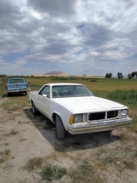 1980 Chevrolet El Camino for sale in Michigan (ID-92402)
