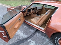 1980 Chevrolet Camaro Z28 for sale in Lodi, California (ID-109037)
