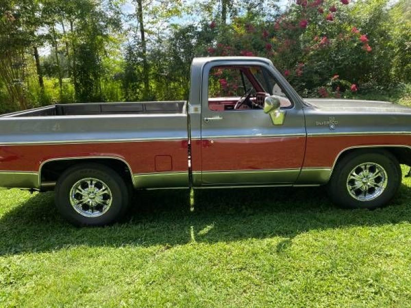 1980 Chevrolet Silverado for sale in Tennessee (ID-82319) 1980 Chevrolet Silverado for sale in Tennessee (ID-82319)